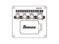 Ibanez AC390CE-NT Ibanez AC390CE-NT